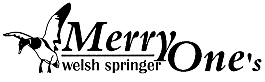 Click here to enter Merry Ones Homepage, or just wait for ten seconds