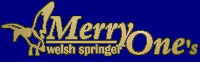 Merry One´s welsh springer spaniel
